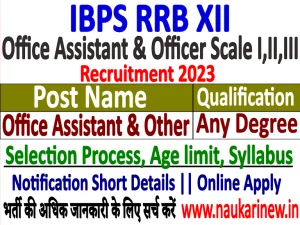 IBPS RRB XII 2023 Online Form