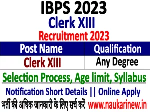 IBPS Clerk 2023 Online Form