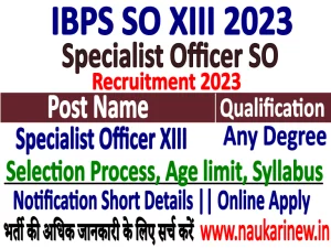IBPS Specialist Officer XIII Online Apply