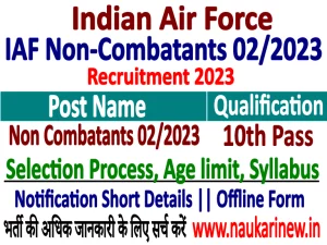 IAF Non Combatants 02/2023 Offline Form